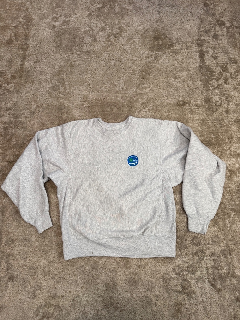 Vintage Y2K Champion Premium Reverse Weave Gray Crewneck Sweatshirt Small